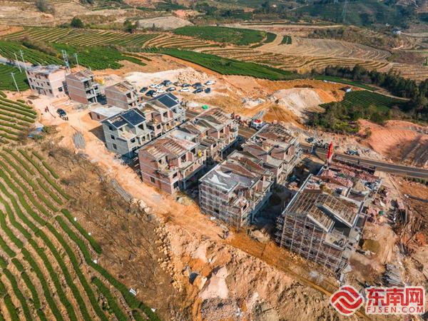 新春走基层·走！到乡村去丨我们在新村里盼新春(图4)